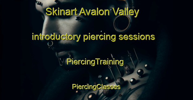 Skinart Avalon Valley introductory piercing sessions | #PiercingTraining #PiercingClasses #SkinartTraining-United States