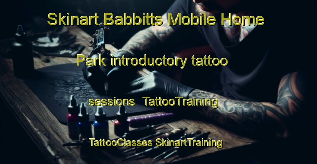 Skinart Babbitts Mobile Home Park introductory tattoo sessions | #TattooTraining #TattooClasses #SkinartTraining-United States