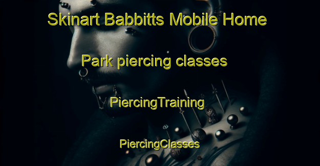 Skinart Babbitts Mobile Home Park piercing classes | #PiercingTraining #PiercingClasses #SkinartTraining-United States