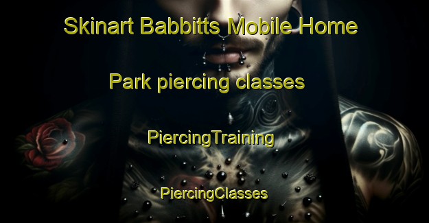 Skinart Babbitts Mobile Home Park piercing classes | #PiercingTraining #PiercingClasses #SkinartTraining-United States