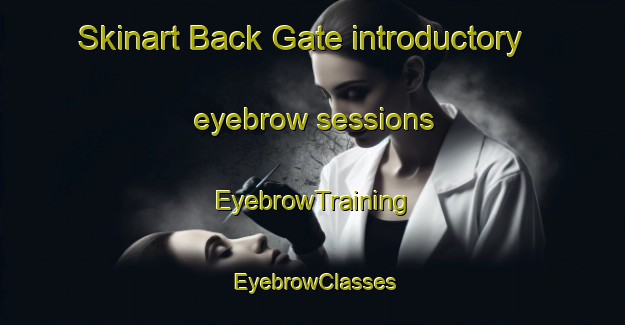 Skinart Back Gate introductory eyebrow sessions | EyebrowTraining | EyebrowClasses | SkinartTraining-United States