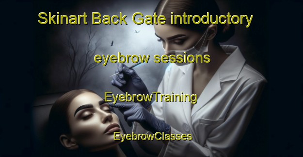 Skinart Back Gate introductory eyebrow sessions | EyebrowTraining | EyebrowClasses | SkinartTraining-United States
