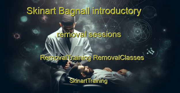 Skinart Bagnall introductory removal sessions | #RemovalTraining #RemovalClasses #SkinartTraining-United States