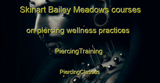 Skinart Bailey Meadows courses on piercing wellness practices | #PiercingTraining #PiercingClasses #SkinartTraining-United States