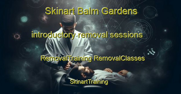 Skinart Balm Gardens introductory removal sessions | #RemovalTraining #RemovalClasses #SkinartTraining-United States