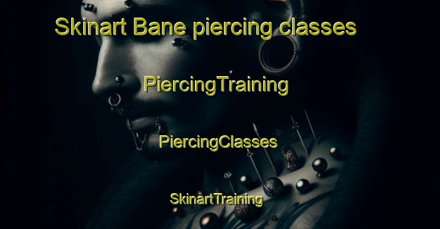 Skinart Bane piercing classes | #PiercingTraining #PiercingClasses #SkinartTraining-United States