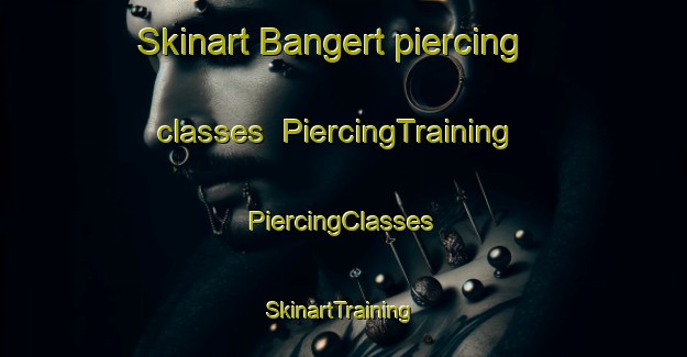 Skinart Bangert piercing classes | #PiercingTraining #PiercingClasses #SkinartTraining-United States