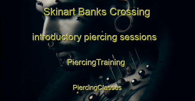 Skinart Banks Crossing introductory piercing sessions | #PiercingTraining #PiercingClasses #SkinartTraining-United States