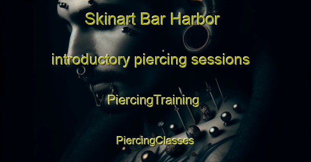 Skinart Bar Harbor introductory piercing sessions | #PiercingTraining #PiercingClasses #SkinartTraining-United States