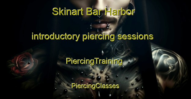 Skinart Bar Harbor introductory piercing sessions | #PiercingTraining #PiercingClasses #SkinartTraining-United States