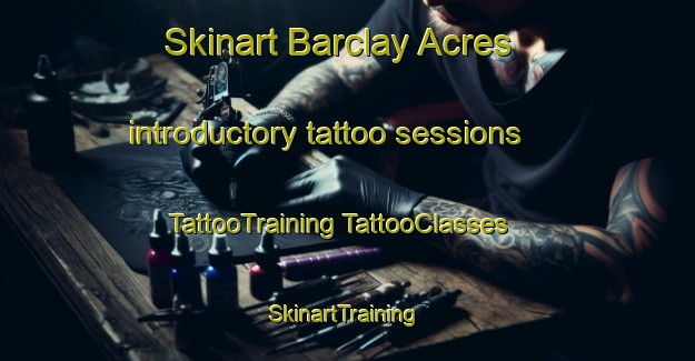 Skinart Barclay Acres introductory tattoo sessions | #TattooTraining #TattooClasses #SkinartTraining-United States