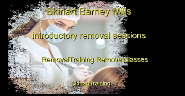 Skinart Barney Mills introductory removal sessions | #RemovalTraining #RemovalClasses #SkinartTraining-United States