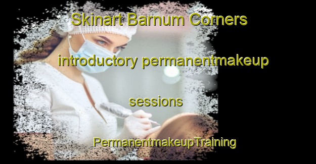 Skinart Barnum Corners introductory permanentmakeup sessions | #PermanentmakeupTraining #PermanentmakeupClasses #SkinartTraining-United States