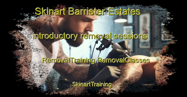 Skinart Barrister Estates introductory removal sessions | #RemovalTraining #RemovalClasses #SkinartTraining-United States