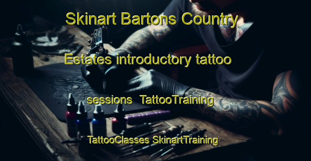 Skinart Bartons Country Estates introductory tattoo sessions | #TattooTraining #TattooClasses #SkinartTraining-United States