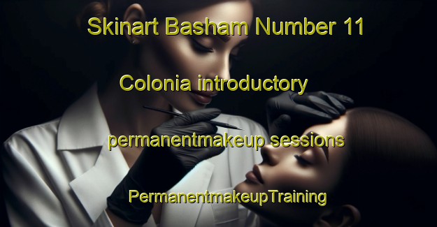 Skinart Basham Number 11 Colonia introductory permanentmakeup sessions | #PermanentmakeupTraining #PermanentmakeupClasses #SkinartTraining-United States