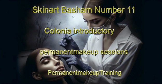 Skinart Basham Number 11 Colonia introductory permanentmakeup sessions | #PermanentmakeupTraining #PermanentmakeupClasses #SkinartTraining-United States