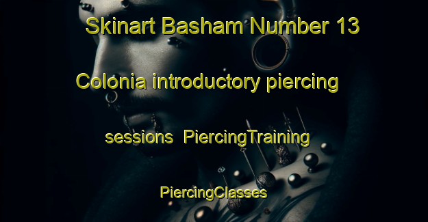 Skinart Basham Number 13 Colonia introductory piercing sessions | #PiercingTraining #PiercingClasses #SkinartTraining-United States