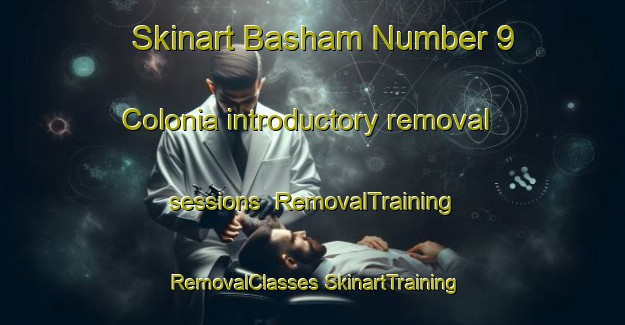 Skinart Basham Number 9 Colonia introductory removal sessions | #RemovalTraining #RemovalClasses #SkinartTraining-United States