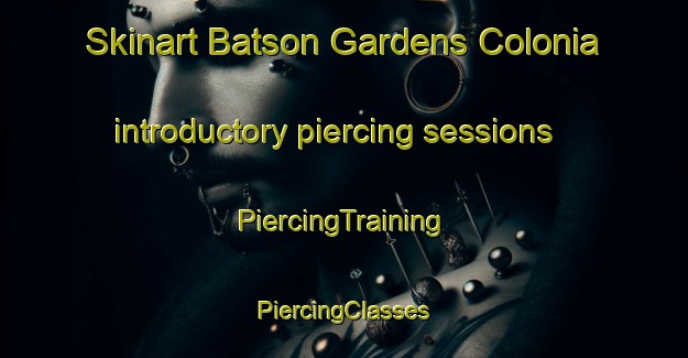 Skinart Batson Gardens Colonia introductory piercing sessions | #PiercingTraining #PiercingClasses #SkinartTraining-United States