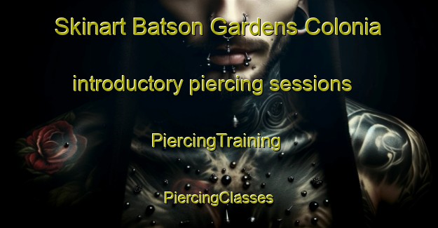 Skinart Batson Gardens Colonia introductory piercing sessions | #PiercingTraining #PiercingClasses #SkinartTraining-United States