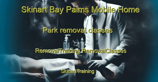 Skinart Bay Palms Mobile Home Park removal classes | #RemovalTraining #RemovalClasses #SkinartTraining-United States