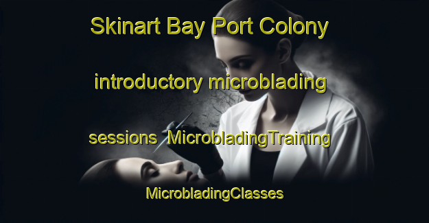 Skinart Bay Port Colony introductory microblading sessions | #MicrobladingTraining #MicrobladingClasses #SkinartTraining-United States