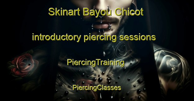 Skinart Bayou Chicot introductory piercing sessions | #PiercingTraining #PiercingClasses #SkinartTraining-United States