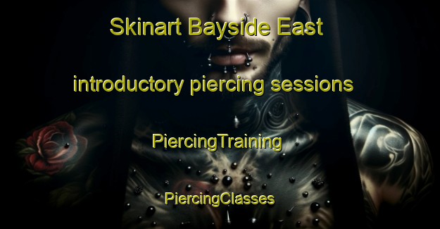 Skinart Bayside East introductory piercing sessions | #PiercingTraining #PiercingClasses #SkinartTraining-United States