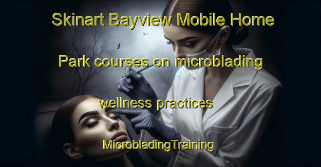 Skinart Bayview Mobile Home Park courses on microblading wellness practices | #MicrobladingTraining #MicrobladingClasses #SkinartTraining-United States