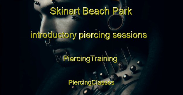 Skinart Beach Park introductory piercing sessions | #PiercingTraining #PiercingClasses #SkinartTraining-United States