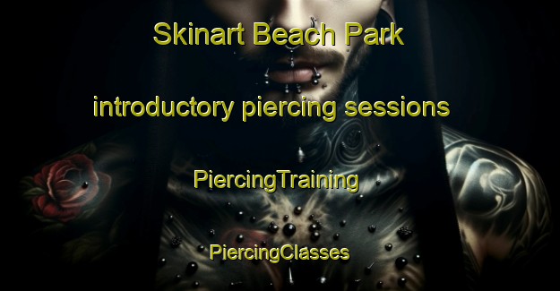 Skinart Beach Park introductory piercing sessions | #PiercingTraining #PiercingClasses #SkinartTraining-United States