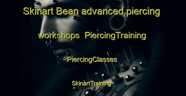 Skinart Bean advanced piercing workshops | #PiercingTraining #PiercingClasses #SkinartTraining-United States