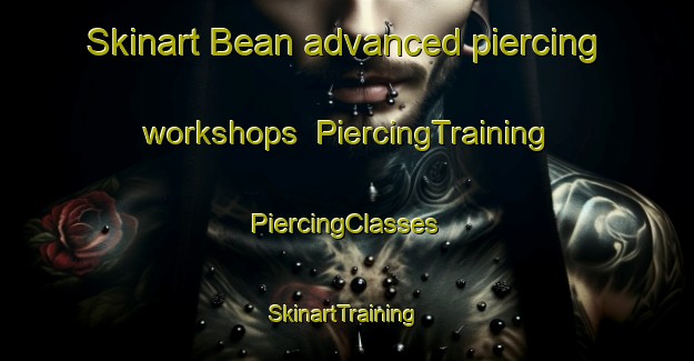 Skinart Bean advanced piercing workshops | #PiercingTraining #PiercingClasses #SkinartTraining-United States