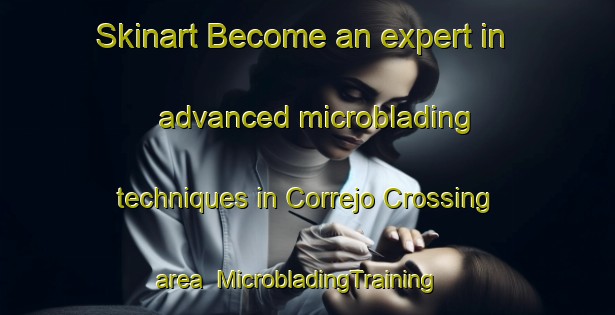 Skinart Become an expert in advanced microblading techniques in Correjo Crossing area | MicrobladingTraining | MicrobladingClasses | SkinartTraining-United States