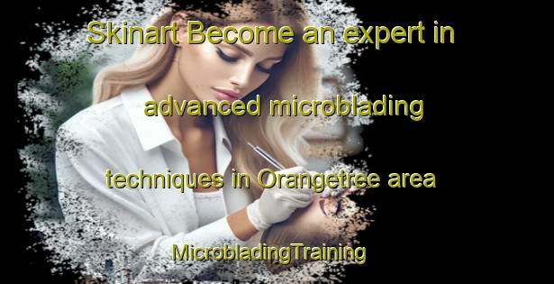 Skinart Become an expert in advanced microblading techniques in Orangetree area | MicrobladingTraining | MicrobladingClasses | SkinartTraining-United States