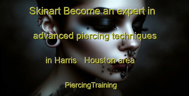 Skinart Become an expert in advanced piercing techniques in Harris   Houston area | PiercingTraining | PiercingClasses | SkinartTraining-United States