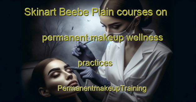 Skinart Beebe Plain courses on permanent makeup wellness practices | #PermanentmakeupTraining #PermanentmakeupClasses #SkinartTraining-United States