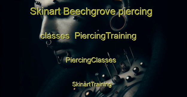 Skinart Beechgrove piercing classes | PiercingTraining | PiercingClasses | SkinartTraining-United States