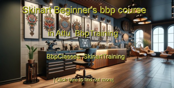 Skinart Beginner's bbp course in Attu | BbpTraining | BbpClasses | SkinartTraining-United States