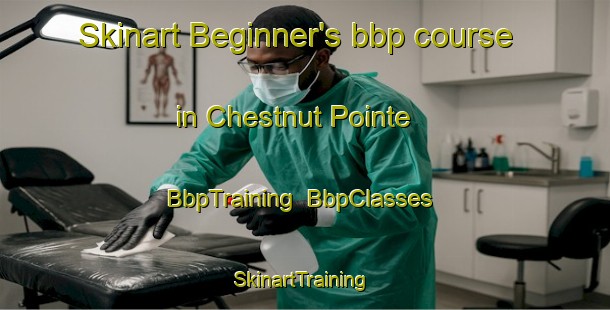 Skinart Beginner's bbp course in Chestnut Pointe | BbpTraining | BbpClasses | SkinartTraining-United States