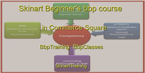 Skinart Beginner's bbp course in Commerce Square | BbpTraining | BbpClasses | SkinartTraining-United States