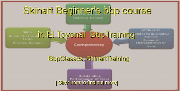 Skinart Beginner's bbp course in El Toyonal | BbpTraining | BbpClasses | SkinartTraining-United States