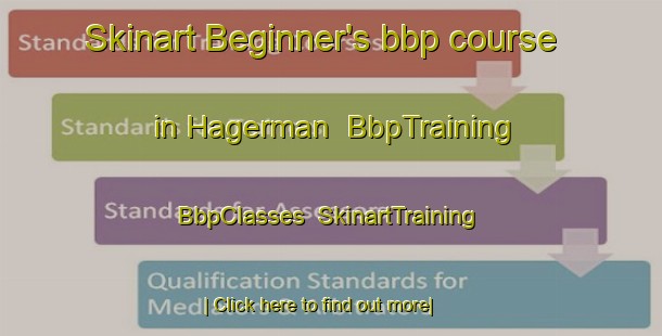 Skinart Beginner's bbp course in Hagerman | BbpTraining | BbpClasses | SkinartTraining-United States