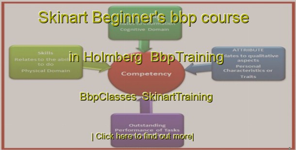 Skinart Beginner's bbp course in Holmberg | BbpTraining | BbpClasses | SkinartTraining-United States