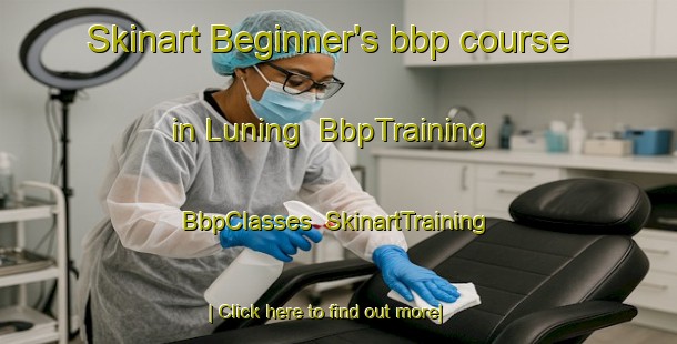 Skinart Beginner's bbp course in Luning | BbpTraining | BbpClasses | SkinartTraining-United States