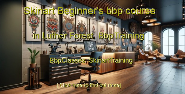 Skinart Beginner's bbp course in Luther Forest | BbpTraining | BbpClasses | SkinartTraining-United States