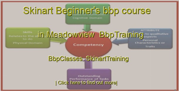 Skinart Beginner's bbp course in Meadowview | BbpTraining | BbpClasses | SkinartTraining-United States