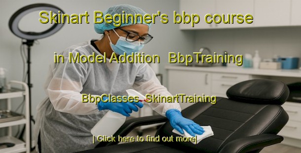 Skinart Beginner's bbp course in Model Addition | BbpTraining | BbpClasses | SkinartTraining-United States
