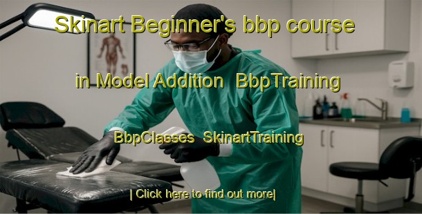 Skinart Beginner's bbp course in Model Addition | BbpTraining | BbpClasses | SkinartTraining-United States